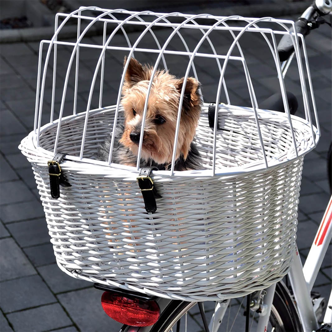 Hundefahrradkorb - Haltersystem 199 von Aumüller-mit Hund