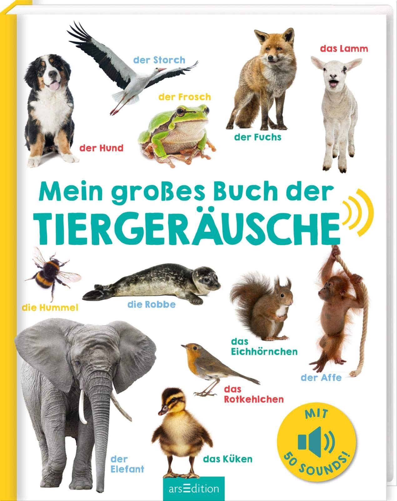 Kinderbuch ab 2 Mein großes Buch der Tiergeräusche von arsEdition Verlag