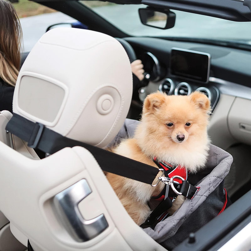 Hunde Autositz Booster von Kong-im Auto vorn