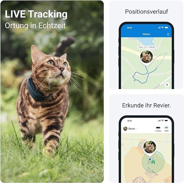Die 3 besten GPSTracker für Katzen Vergleich & Test 2024 Dad